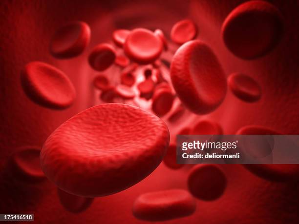 blutkörperchen - blood cells stock-fotos und bilder