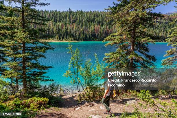 tourist at valley of five lakes, jasper, alberta, canada - jasper canada stock pictures, royalty-free photos & images