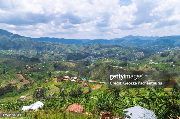 1,025 Rwanda Trees Stock Photos, High-Res Pictures, and Images - Getty ...