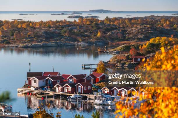 island in fall. horizon over water - sweden stockfoto's en -beelden