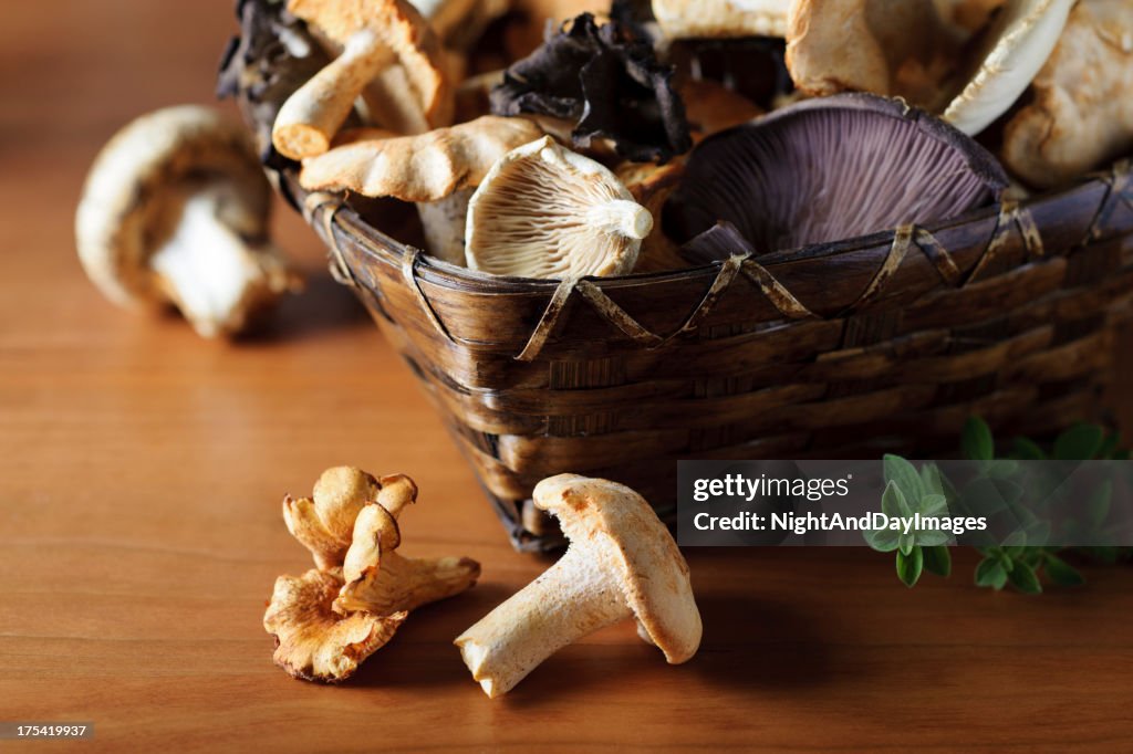 Basket of Wild Mushrooms