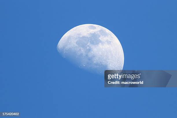 blue moon - day stockfoto's en -beelden