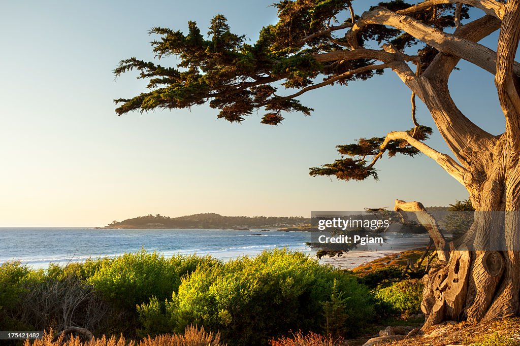 Hermosa playa en Carmel-by-the-Sea