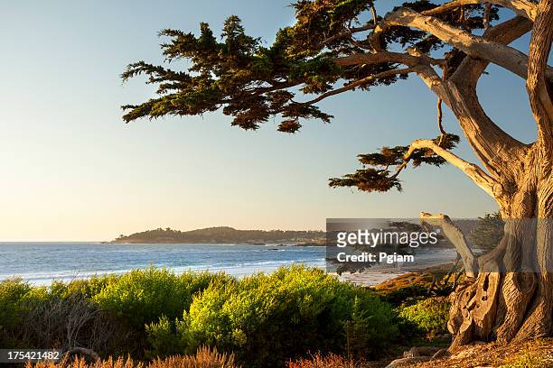 colorful beachfront in carmel-by-the-sea - amgen tour of california stockfoto's en -beelden