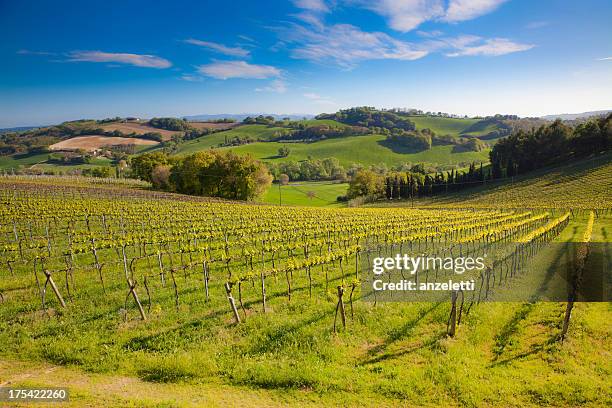 idyllic italian landscape - emilia-romagna stock pictures, royalty-free photos & images
