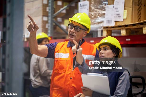 Packer Working 56 Shelf Packer Stock Photos, High-Res Pictures, and Images - Getty Images