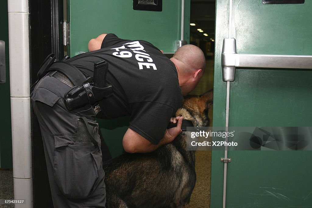 Police K-9 Searches for Suspect
