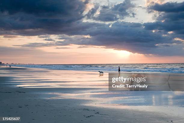 morning walk - myrtle beach stock pictures, royalty-free photos & images