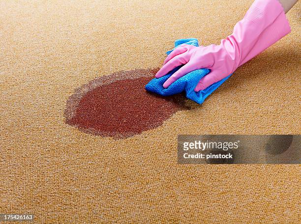 gloved hand cleaning a wet spot on floor - carpet stock pictures, royalty-free photos & images