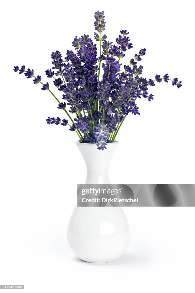 Lavender in Vase.