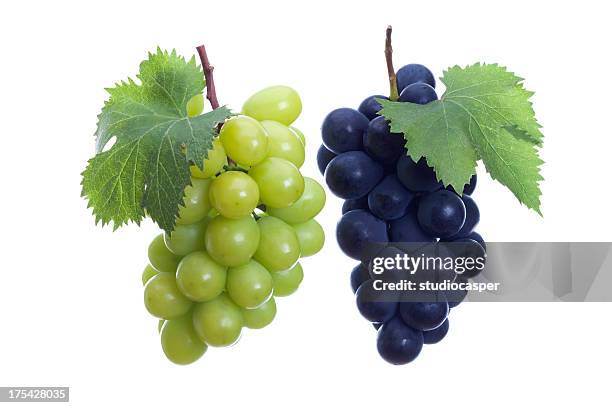 white and black grapes　 - grape bildbanksfoton och bilder