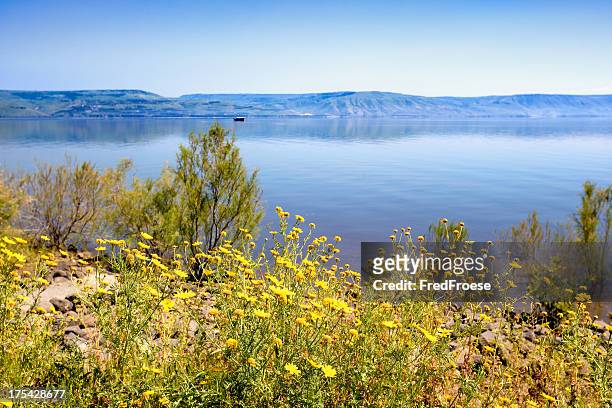 sea of galilee - galillee stock pictures, royalty-free photos & images