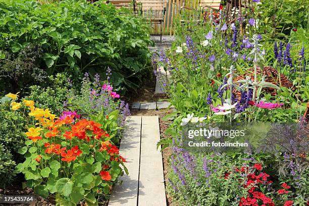 herb, vegetables and flower garden - kruidentuin stockfoto's en -beelden