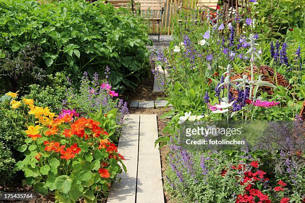 herb, vegetables and flower garden - uncultivated stock pictures, royalty-free photos & images