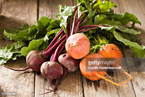 colorful beets - golden beet stock pictures, royalty-free photos & images