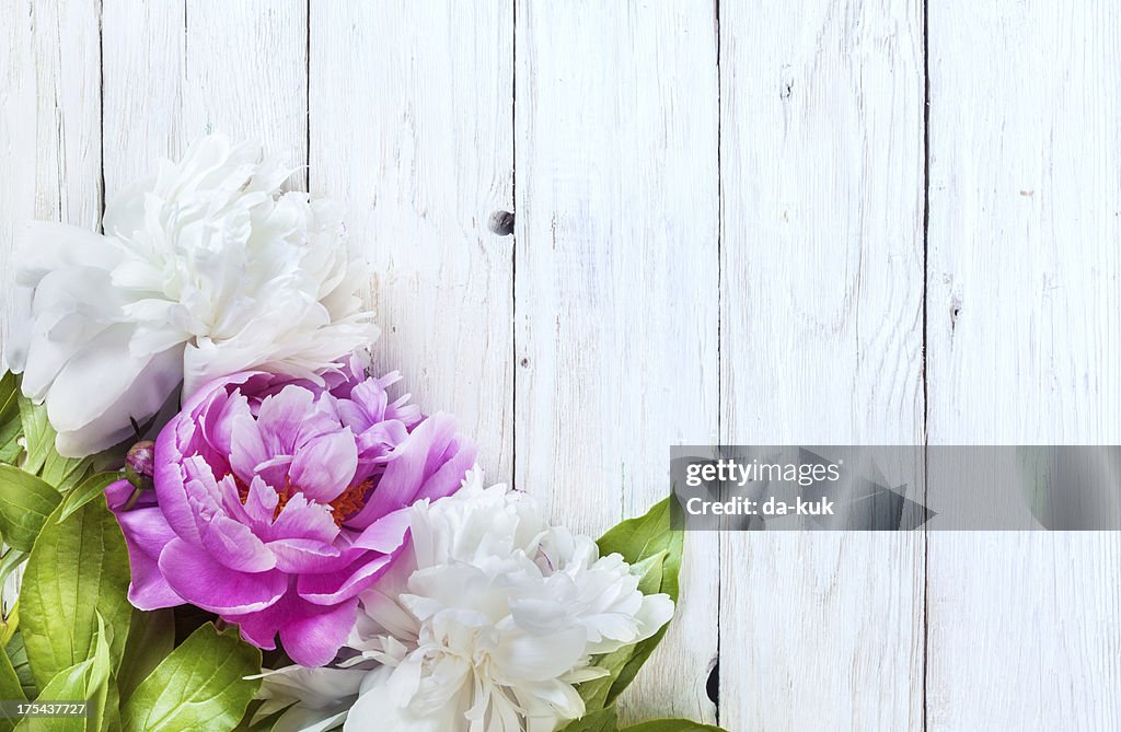 Peony on aged wooden table