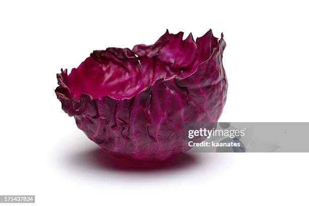 red cabbage leaves - purple cabbage stock pictures, royalty-free photos & images