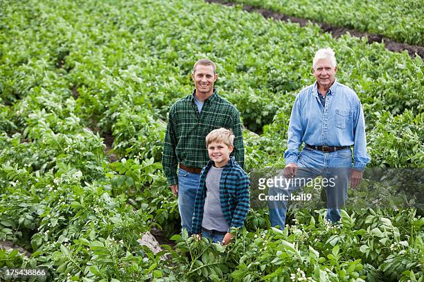 three generations on family farm standing in crop field - family business generations stock pictures, royalty-free photos & images