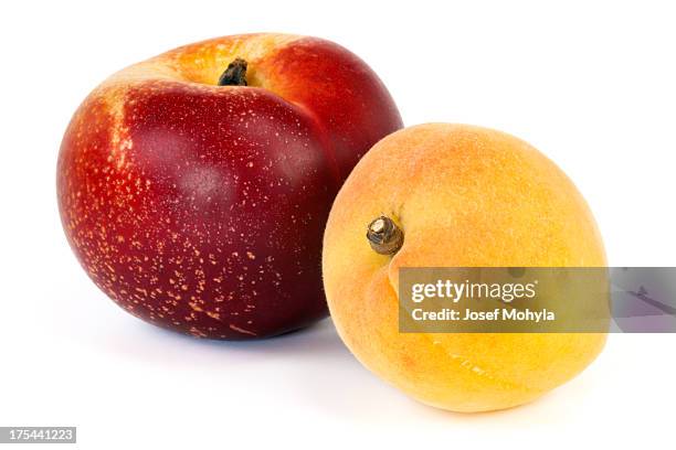 nectarine and apricot - apricot stock pictures, royalty-free photos & images