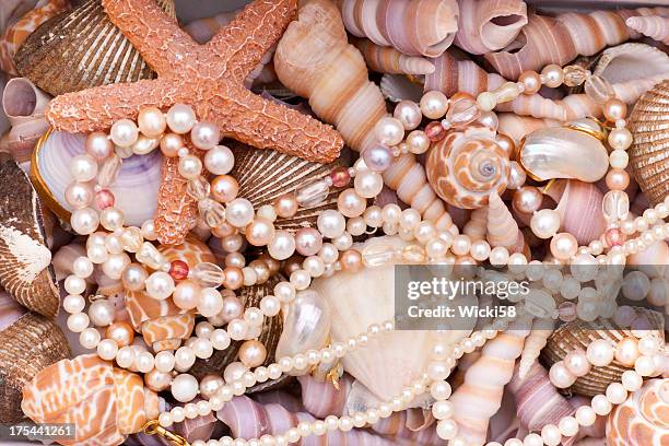 perlen und muscheln - pink pearls stock-fotos und bilder