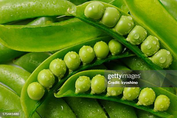 stacked opened fresh green peas with water droplets - green vegetables bildbanksfoton och bilder