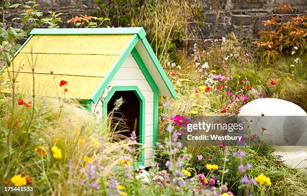 doggy kennel - in the dog house stockfoto's en -beelden