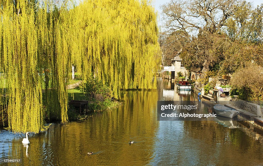 River Great Ouse at Godmanchester