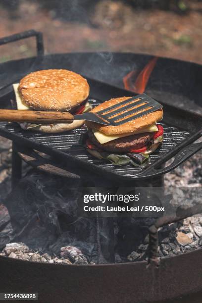 close-up of meat on barbecue grill - brasa stockfoto's en -beelden