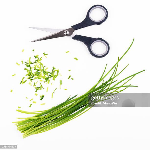 schnittlauch und schere - schnittlauch stock-fotos und bilder