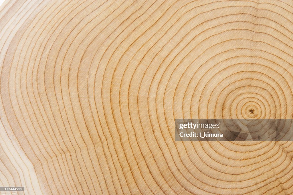 Wood Texture