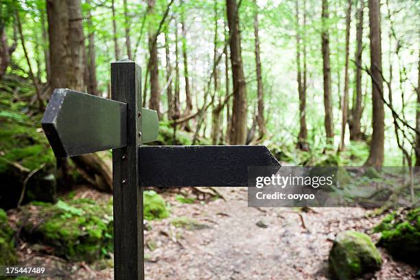 poste indicador en un bosque - señal de dirección fotografías e imágenes de stock