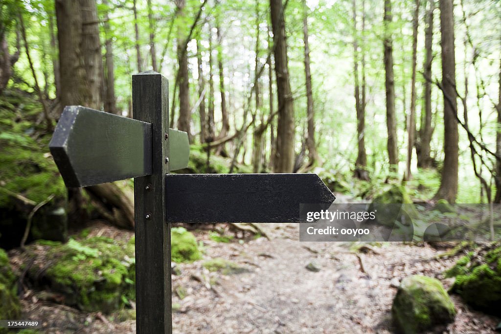 Signpost in a forest