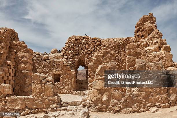 masada in israel - masada stock pictures, royalty-free photos & images