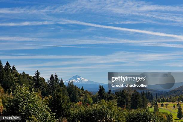 mount hood - willamette valley stock pictures, royalty-free photos & images