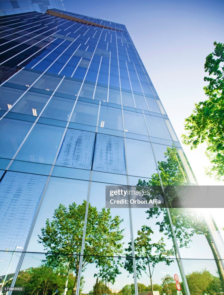 Trees reflected on building