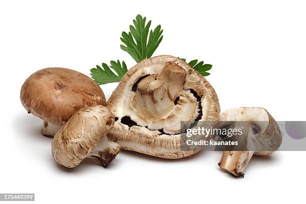 chestnut mushrooms - portobello mushroom stock pictures, royalty-free photos & images