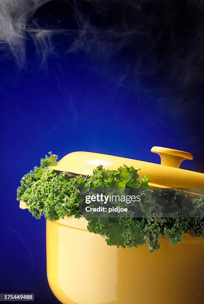 kale in stew pot - boerenkool stock pictures, royalty-free photos & images