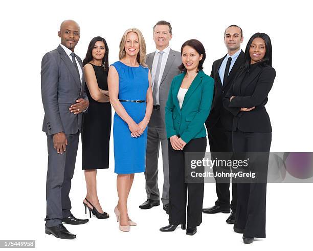 diverse business team - african american businesswoman isolated stockfoto's en -beelden