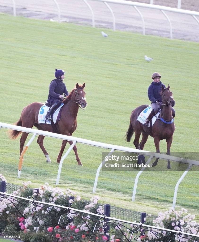 Absurde and Vauban during Spring Racing Carnival Trackwork at... News ...