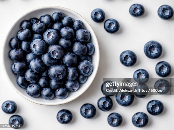 high angle view of blueberries in bowl on white background - arándano fotografías e imágenes de stock