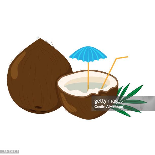 coconut illustration. - coconut drink stock illustrations