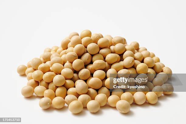 isolated shot of stacked dried soybeans on white background - tofu stock pictures, royalty-free photos & images