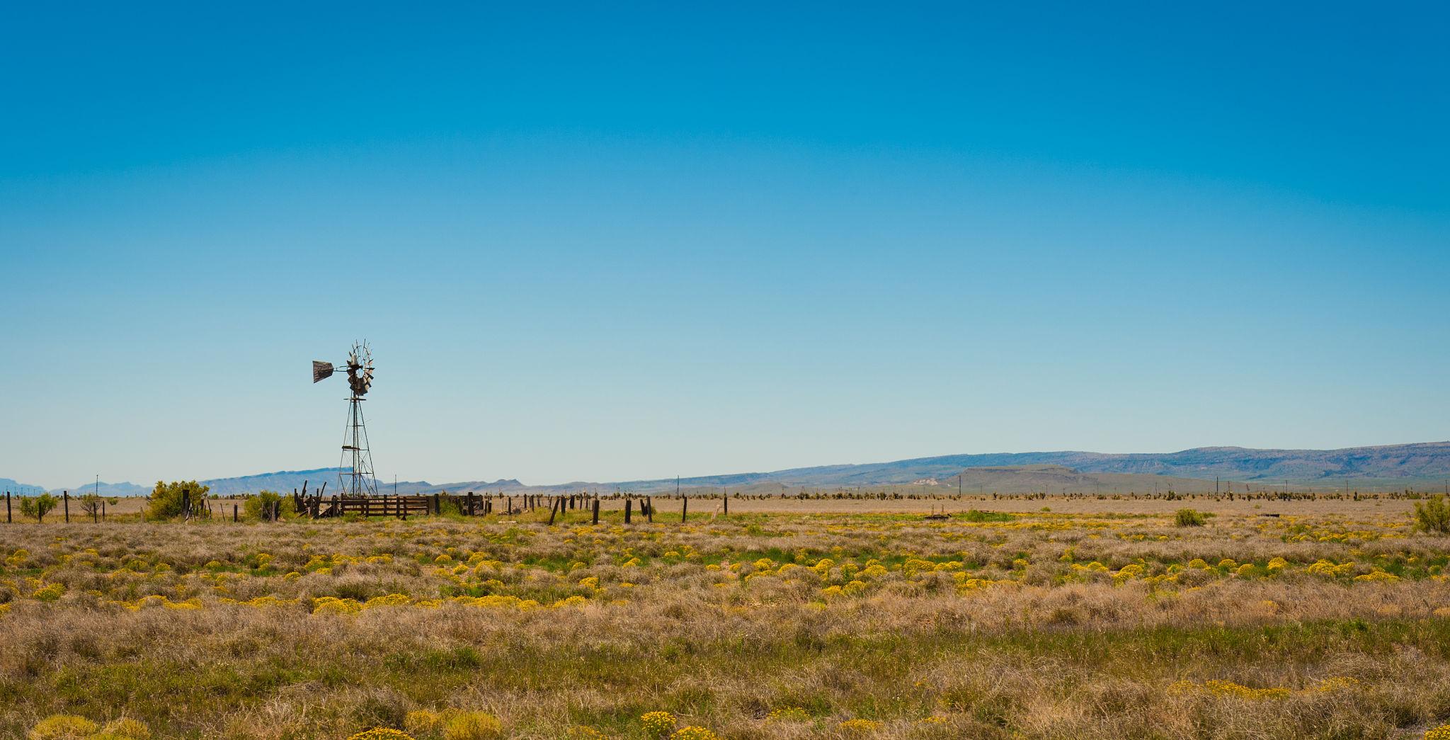 texas landscape