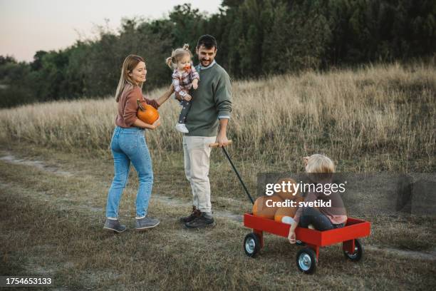 junge familie im kürbisfeld - wheelbarrow stock-fotos und bilder