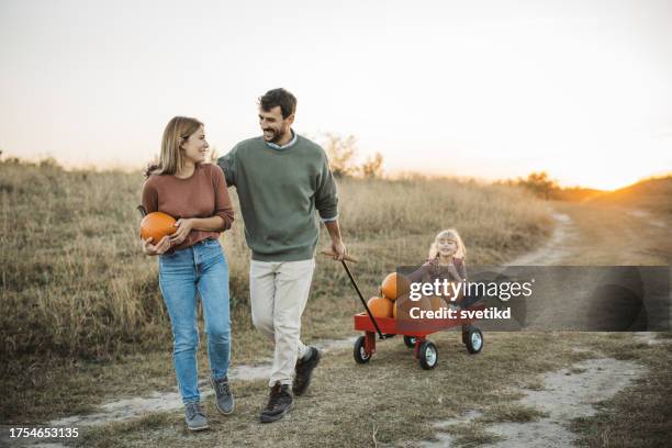 young family at pumpkin patch - pumpkin patch stock pictures, royalty-free photos & images