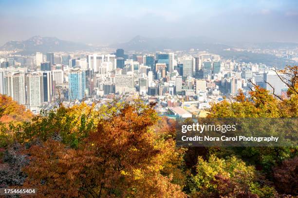 seoul skyline from namsan park during autumn - seoul south korea skyline stock pictures, royalty-free photos & images