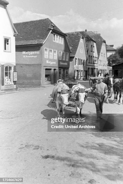 Trip to Amorbach, Germany 1930s.