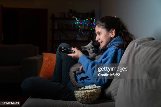 beautiful woman sitting on a couch and watching movie at night in the living room at home. - cat video stock pictures, royalty-free photos & images