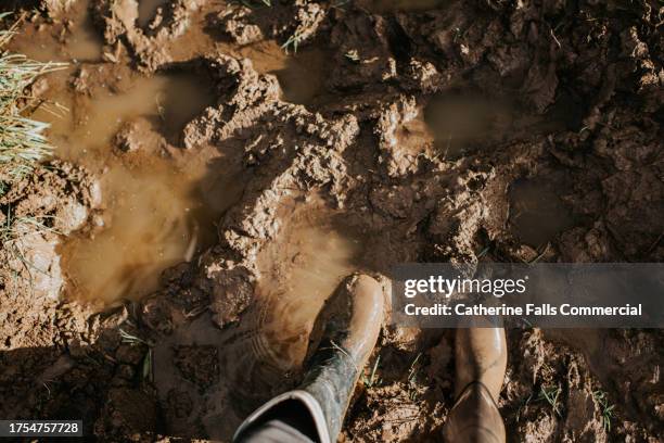 top down image of a pair of mucky wellington boots, submerged in thick mud - dirty feet stock-fotos und bilder