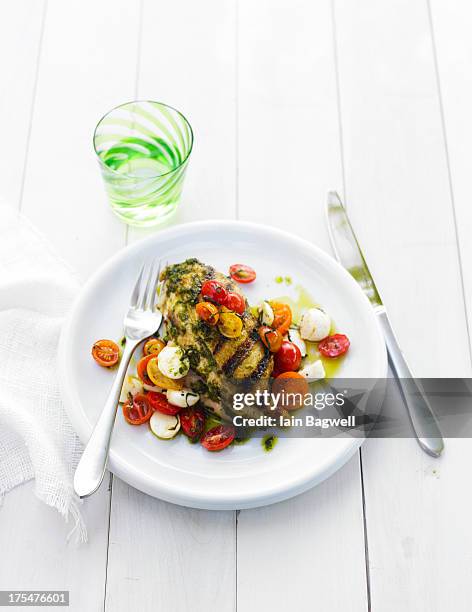 garlic basil grilled chicken with caprese salad - caprese imagens e fotografias de stock